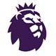23/25 Premier League Badge